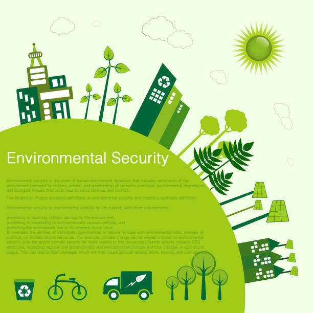 Environmental Security